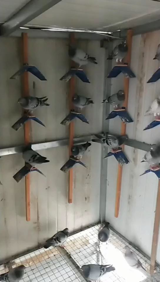 ���µ�����С����ս�Ĺ�����