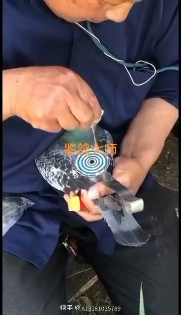 ��������������ˡ����롱