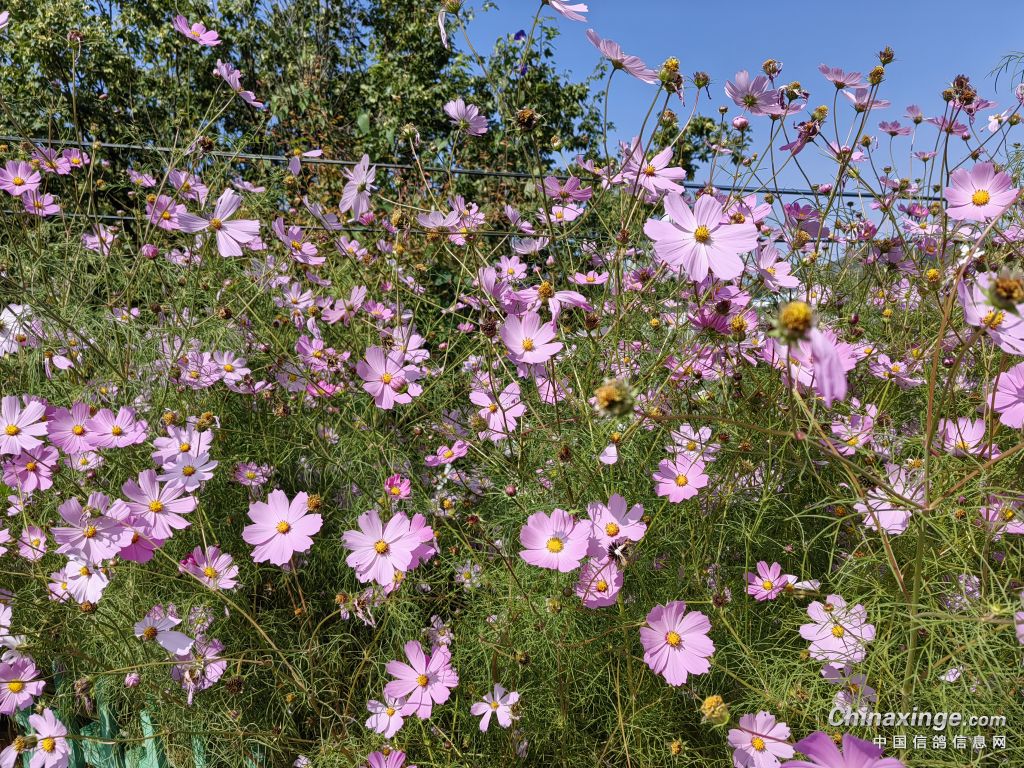 �������´��ڞg�[�DƬ