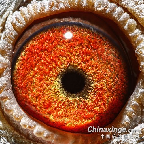 �������´��ڞg�[�DƬ