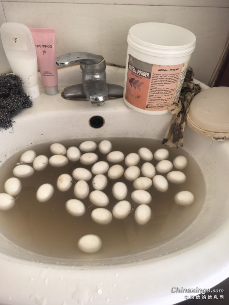 �������´��ڞg�[�DƬ