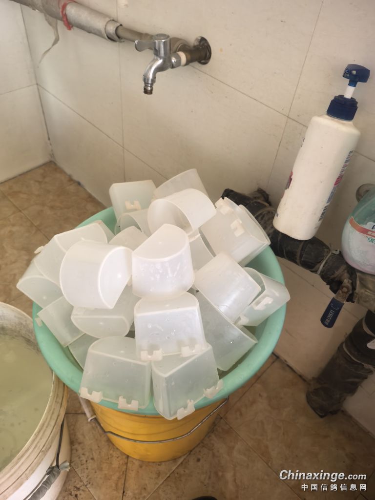 �������´��ڞg�[�DƬ