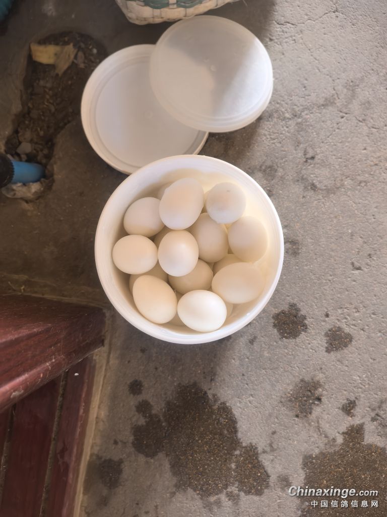 �������´��ڞg�[�DƬ