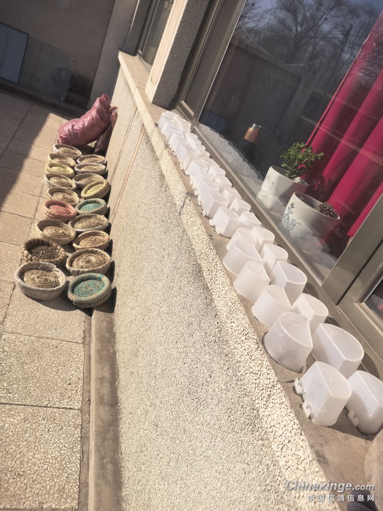 �������´��ڞg�[�DƬ