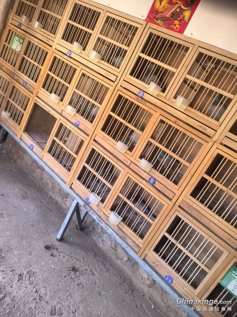 �������´��ڞg�[�DƬ