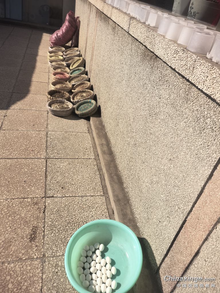 �������´��ڞg�[�DƬ