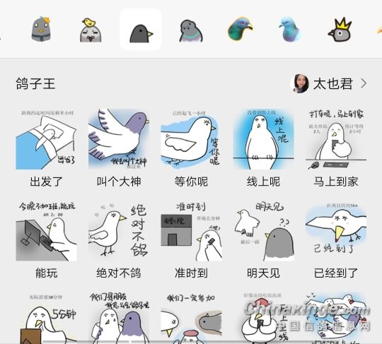 鸽子头emoji表情图片