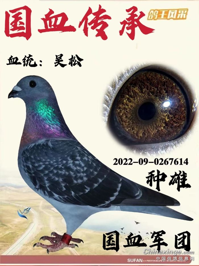 国血军团李鸟吴松